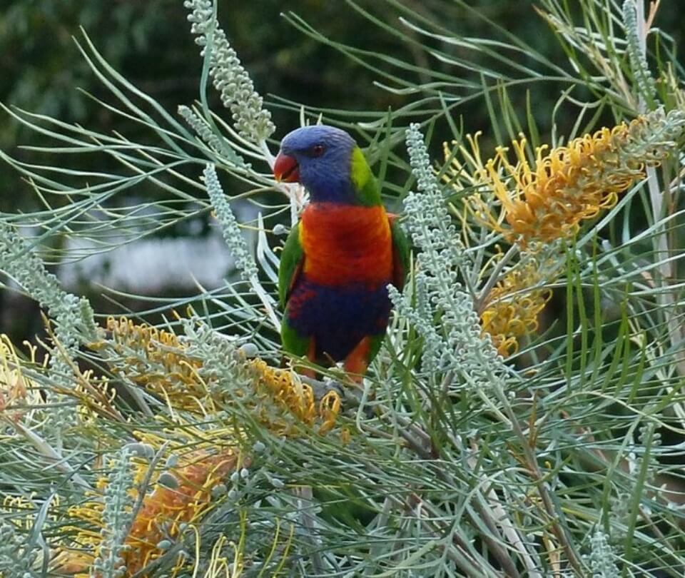 Latest news and resources, Cumberland View Aged Care