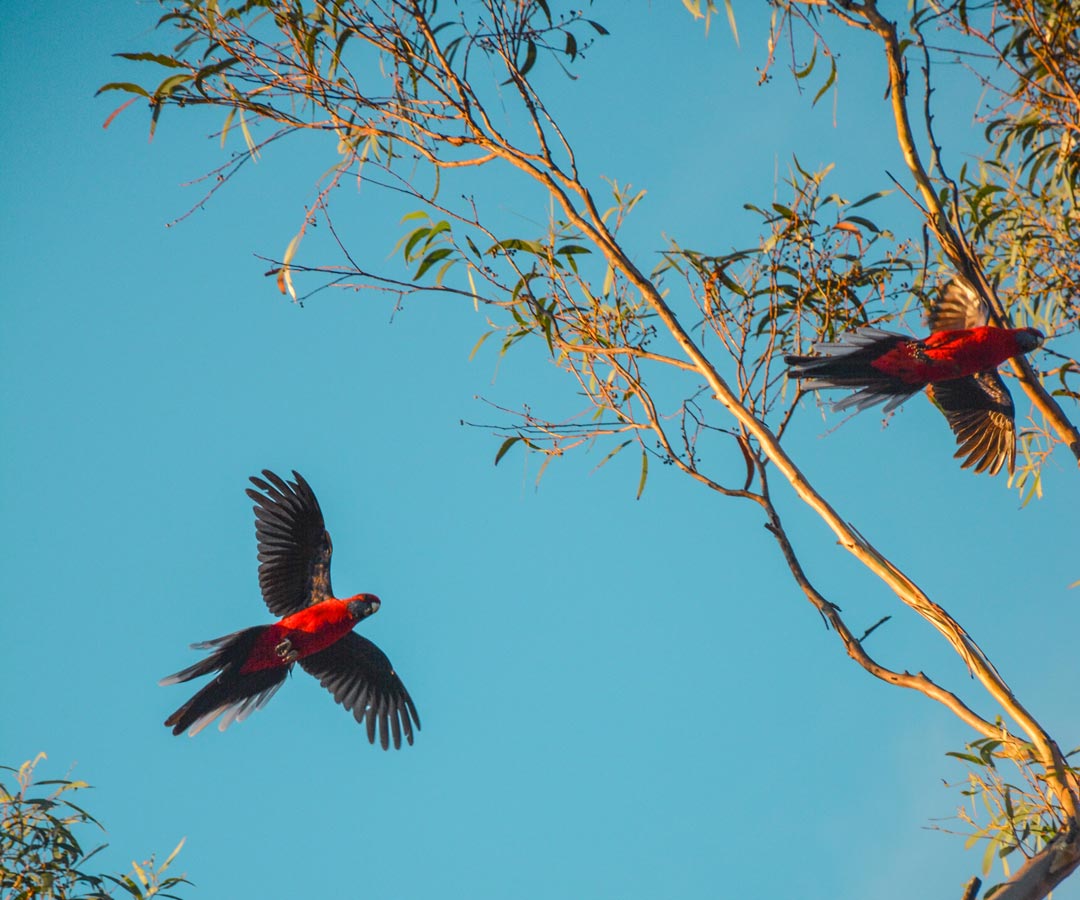 Aged care jobs in Cumberland View, Wheelers Hill